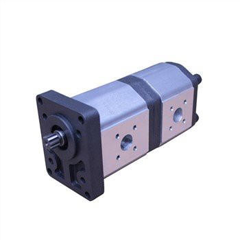 GD5-20-12H16FFL-20 Pam Hidraulik untuk Claas